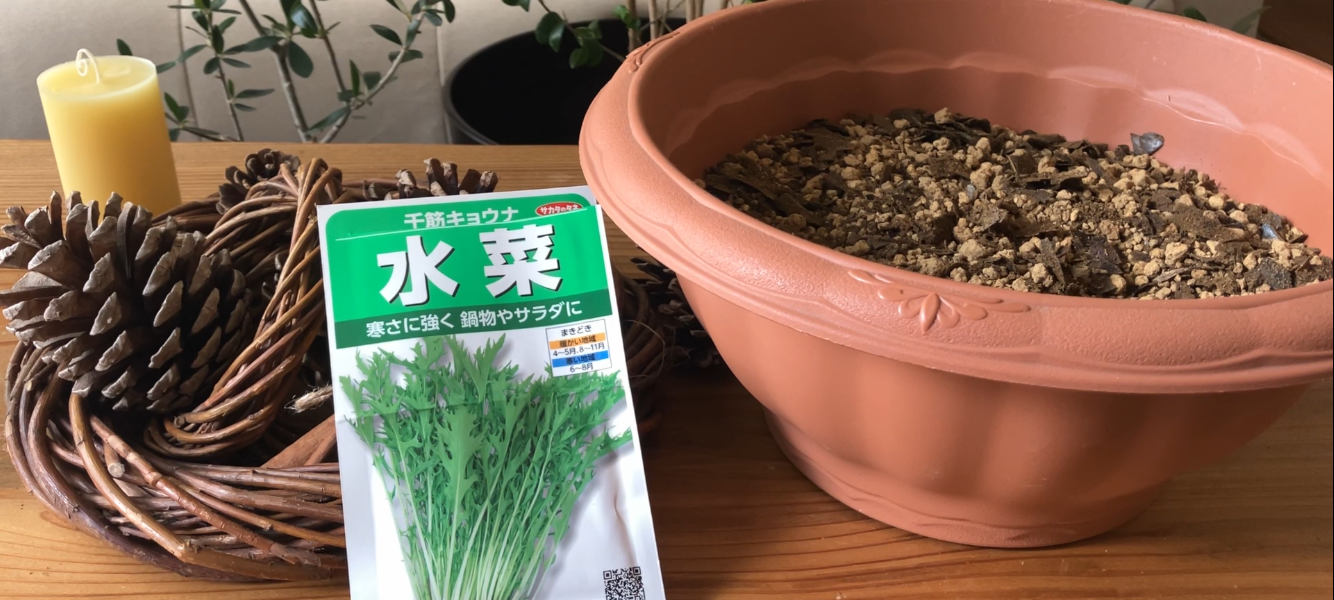 水菜のプランター菜園記録